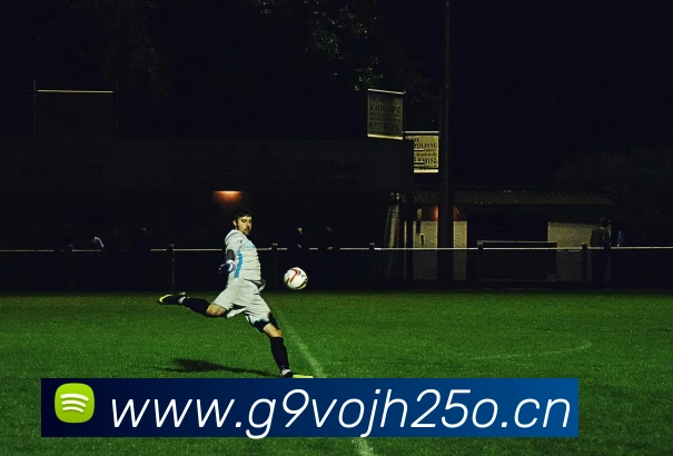 kaiyun体育服务体系